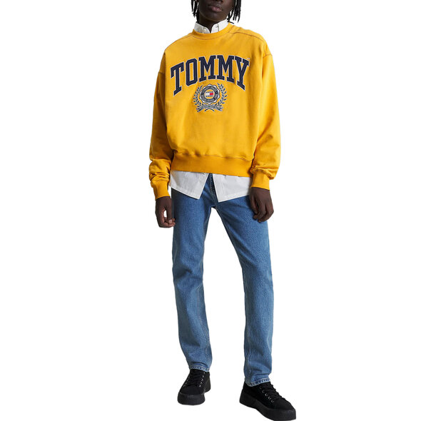 TOMMY HILFIGER BOXY COLLEGE ΦΟΥΤΕΡ ΑΝΔΡIKO DM0DM16804-KEM