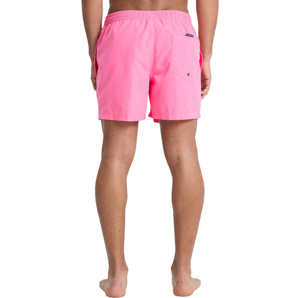 QUIKSILVER EVERYDAY VOLLEY 15'' ΜΑΓΙΩ ΑΝΔΡΙΚΟ EQYJV04120-MJB0