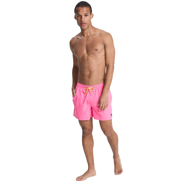 QUIKSILVER EVERYDAY VOLLEY 15'' ΜΑΓΙΩ ΑΝΔΡΙΚΟ EQYJV04120-MJB0