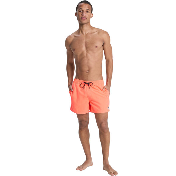 QUIKSILVER EVERYDAY VOLLEY 15'' ΜΑΓΙΩ ΑΝΔΡΙΚΟ EQYJV04120-MKZ0