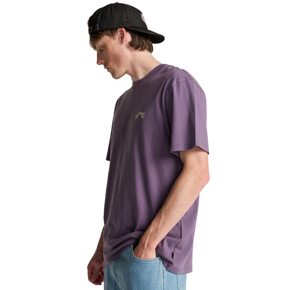 BILLABONG ARCH ΜΠΛΟΥΖΑ ΑΝΔΡΙΚΗ EBYKT00100-PPD0
