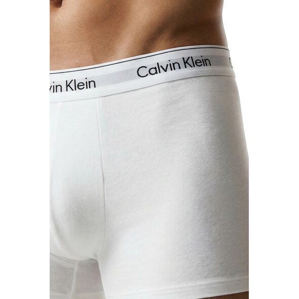 CALVIN KLEIN LOW RISE TRUNKS 3-PACK ΕΣΩΡΟΥΧA ΑΝΔΡIKA LV00NB4389-3TH