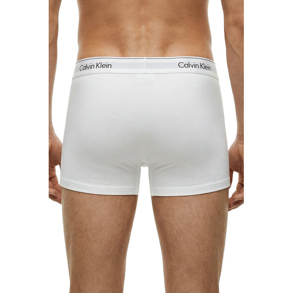 CALVIN KLEIN LOW RISE TRUNKS 3-PACK ΕΣΩΡΟΥΧA ΑΝΔΡIKA LV00NB4389-3TH