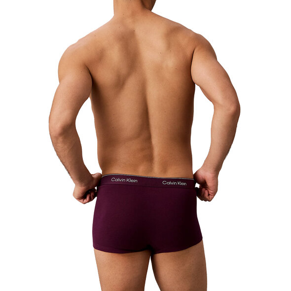 CALVIN KLEIN LOW RISE TRUNKS 3-PACK ΕΣΩΡΟΥΧΑ ΑΝΔΡΙΚΑ LV00NB4389-4M0