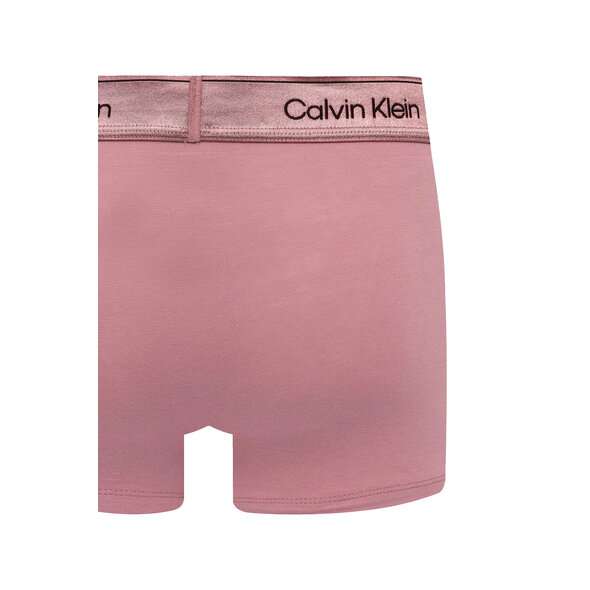 CALVIN KLEIN 3-PACK TRUNK ΕΣΩΡΟΥΧΑ ΑΝΔΡΙΚΑ LV00NB4575-4XM