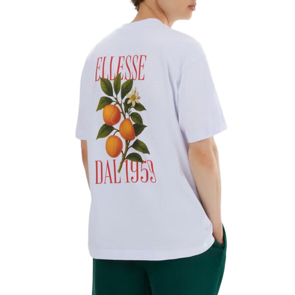 ELLESSE COLLECTION 1959 ΜΠΛΟΥΖΑ ΑΝΔΡΙΚΗ SHD24397-908