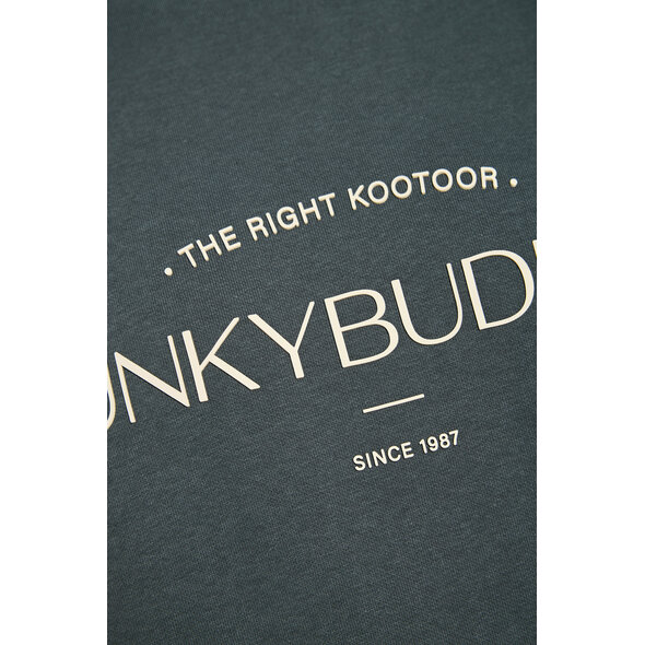 FUNKY BUDDHA ΦΟΥΤΕΡ ΑΝΔΡΙΚΟ FBM014-006-06-GREEN STORM
