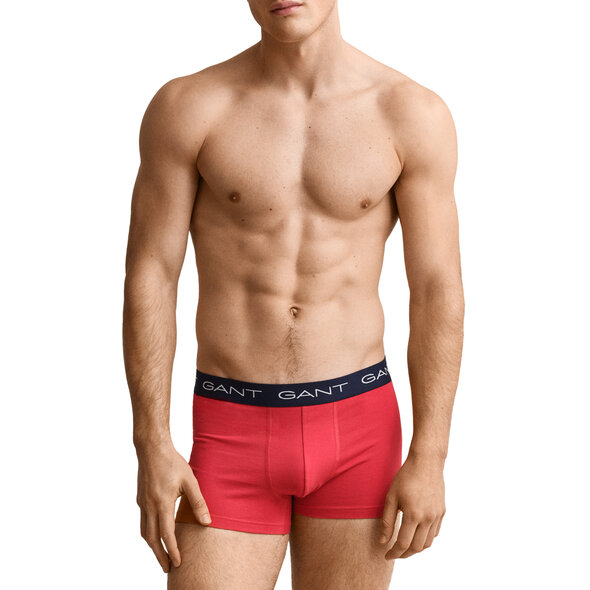 GANT 3-PACK CORE TRUNK ΕΣΩΡΟΥΧΑ ΑΝΔΡΙΚΑ 902613003-641