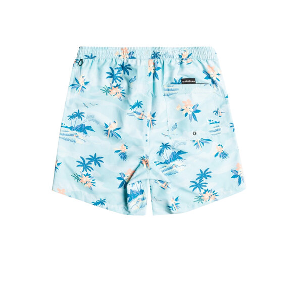 QUIKSILVER 'EVERYDAY SCENIC' 15'' ΜΑΓΙΩ ΑΝΔΡIKO EQYJV03901-BGD6