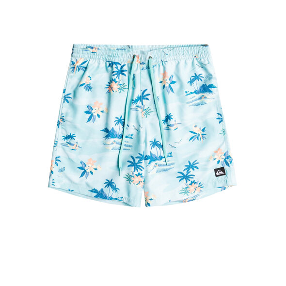 QUIKSILVER 'EVERYDAY SCENIC' 15'' ΜΑΓΙΩ ΑΝΔΡIKO EQYJV03901-BGD6