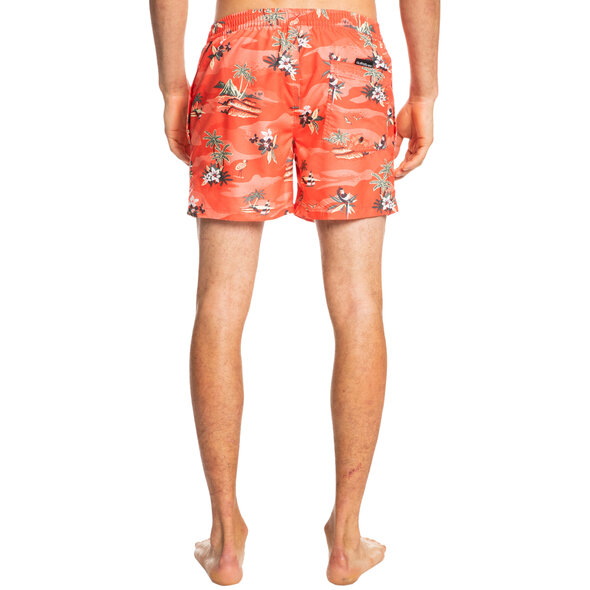 QUIKSILVER 'EVERYDAY SCENIC' 15'' ΜΑΓΙΩ ΑΝΔΡIKO EQYJV03901-MGK6