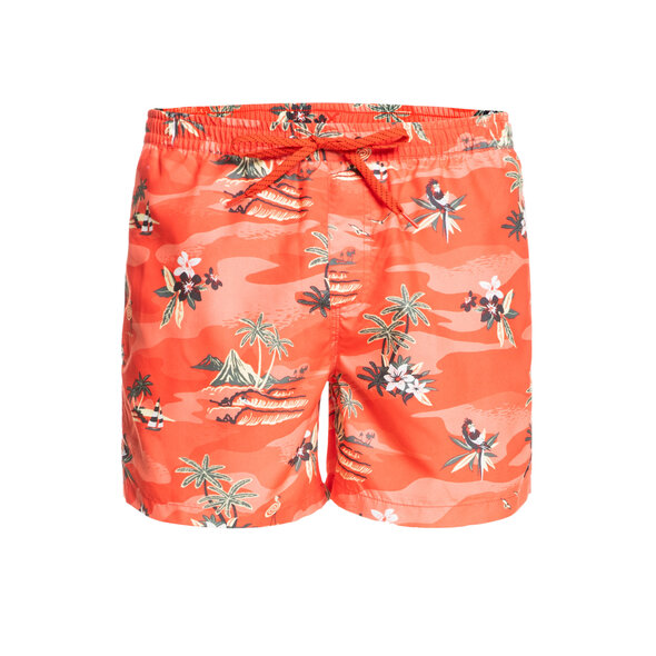 QUIKSILVER 'EVERYDAY SCENIC' 15'' ΜΑΓΙΩ ΑΝΔΡIKO EQYJV03901-MGK6