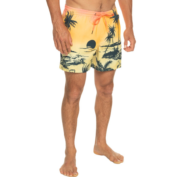 QUIKSILVER EVERYDAY PARADISE ΜΑΓΙΩ ΑΝΔΡIKO EQYJV03999-MHV6