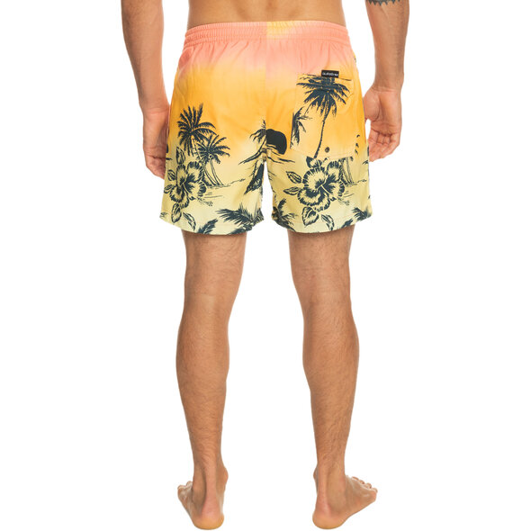 QUIKSILVER EVERYDAY PARADISE ΜΑΓΙΩ ΑΝΔΡIKO EQYJV03999-MHV6