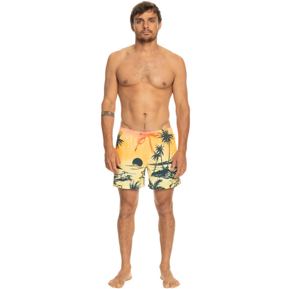 QUIKSILVER EVERYDAY PARADISE ΜΑΓΙΩ ΑΝΔΡIKO EQYJV03999-MHV6