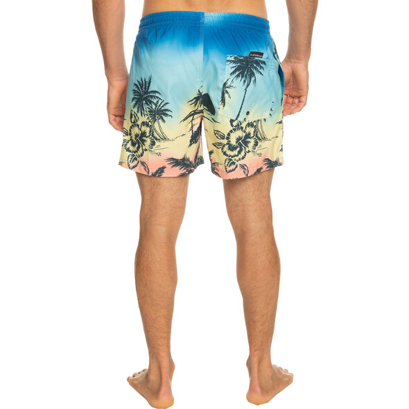 QUIKSILVER EVERYDAY PARADISE ΜΑΓΙΩ ΑΝΔΡIKO EQYJV03999-YFB6