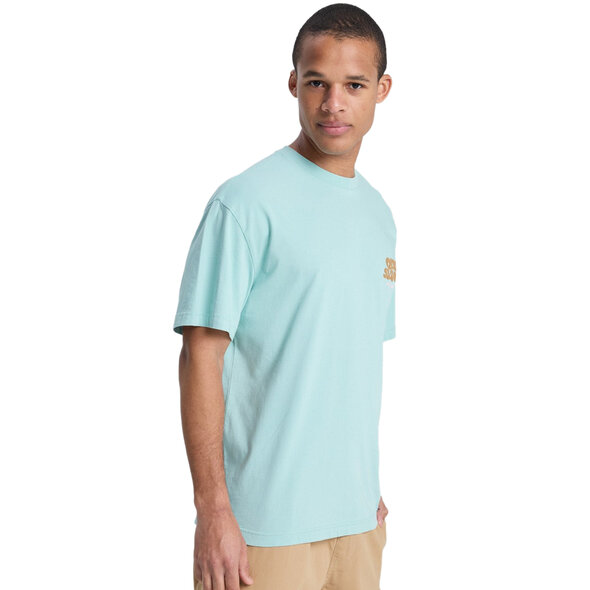 QUIKSILVER 'FRUITS TIDE' ΜΠΛΟΥΖΑ ΑΝΔΡΙΚΗ EQYZT08296-BGA0