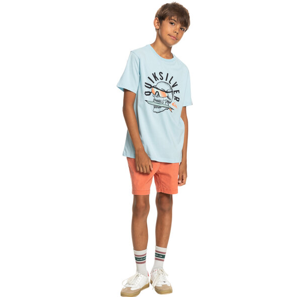 QUIKSILVER 'ROCKIN SKULL' ΠΑΙΔΙΚΗ ΜΠΛΟΥΖΑ ΑΓΟΡΙ EQBZT04592-BGC0