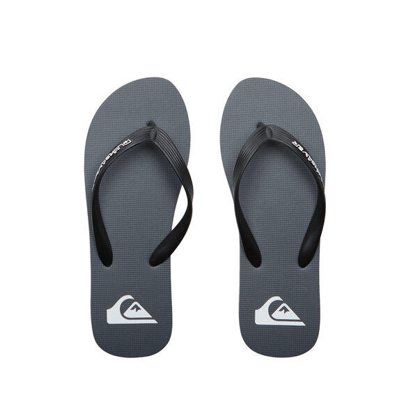 QUIKSILVER 'MOLOKAI' ΣΑΓΙΟΝΑΡΕΣ ΑΝΔΡΙΚΕΣ AQYL101325-SYJ1