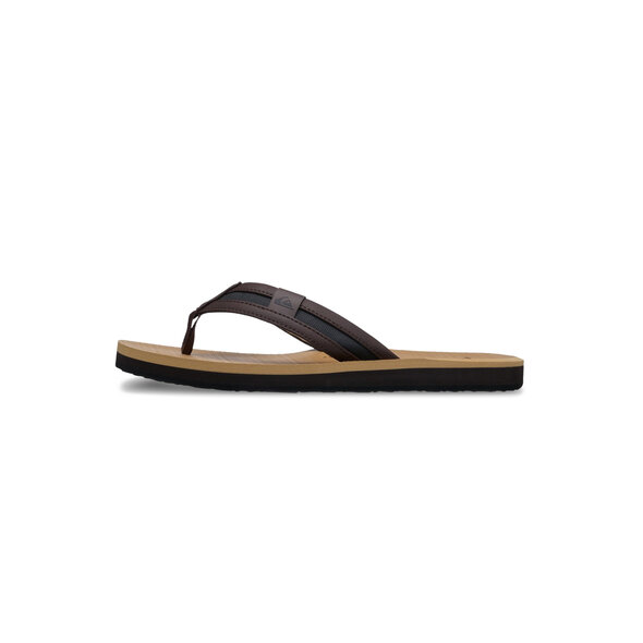 QUIKSILVER 'CARVER SQUISH' ΣΑΓΙΟΝΑΡΕΣ ΑΝΔΡΙΚΕΣ EQYL100063-CVJ1