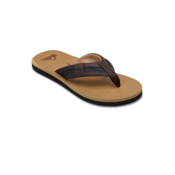 QUIKSILVER 'CARVER SQUISH' ΣΑΓΙΟΝΑΡΕΣ ΑΝΔΡΙΚΕΣ EQYL100063-CVJ1