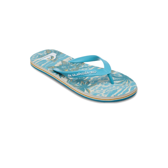QUIKSILVER 'MOLOKAI ART 26' ΣΑΓΙΟΝΑΡΕΣ ΑΝΔΡΙΚΕΣ EQYL100082-BKJ6