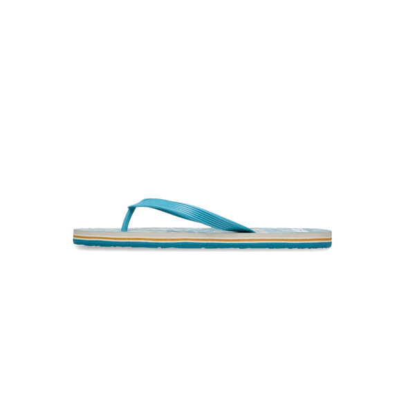 QUIKSILVER 'MOLOKAI ART 26' ΣΑΓΙΟΝΑΡΕΣ ΑΝΔΡΙΚΕΣ EQYL100082-BKJ6
