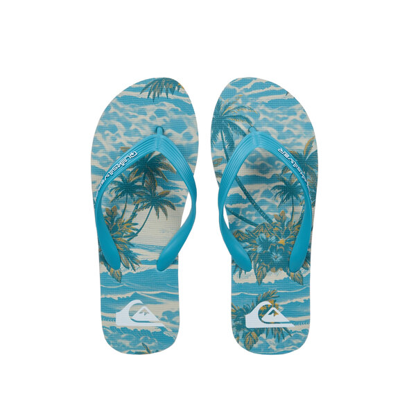 QUIKSILVER 'MOLOKAI ART 26' ΣΑΓΙΟΝΑΡΕΣ ΑΝΔΡΙΚΕΣ EQYL100082-BKJ6