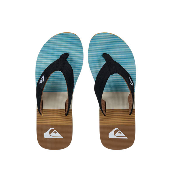 QUIKSILVER 'MOLOKAI LAYBACK 26' ΣΑΓΙΟΝΑΡΕΣ ΑΝΔΡΙΚΕΣ EQYL100093-CMK6
