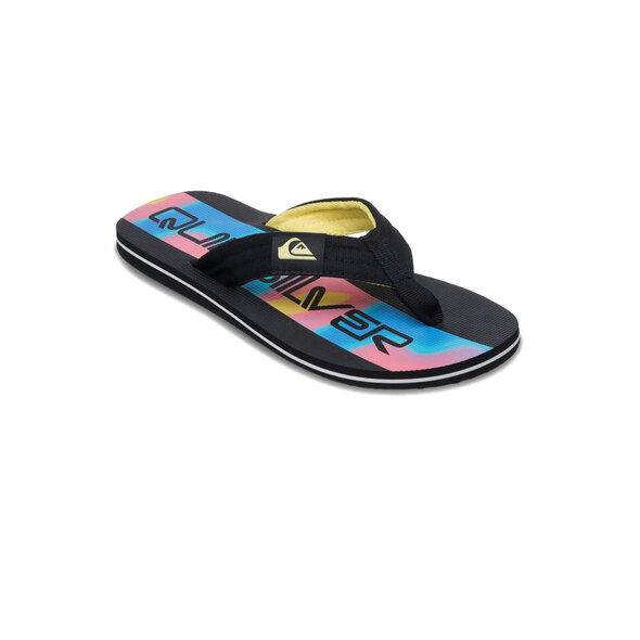 QUIKSILVER 'MOLOKAI LAYBACK 26' ΣΑΓΙΟΝΑΡΕΣ ΑΝΔΡΙΚΕΣ EQYL100093-KVJ6