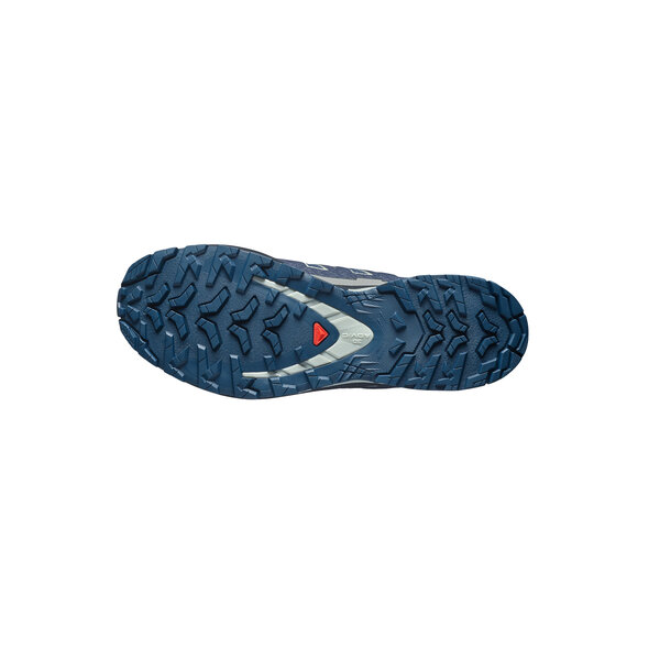 SALOMON 'XA PRO 3D V9 GTX' TRAIL RUNNING ΠΑΠΟΥΤΣΙ ΑΝΔΡΙΚΑ L49199200-SPELLBOUND