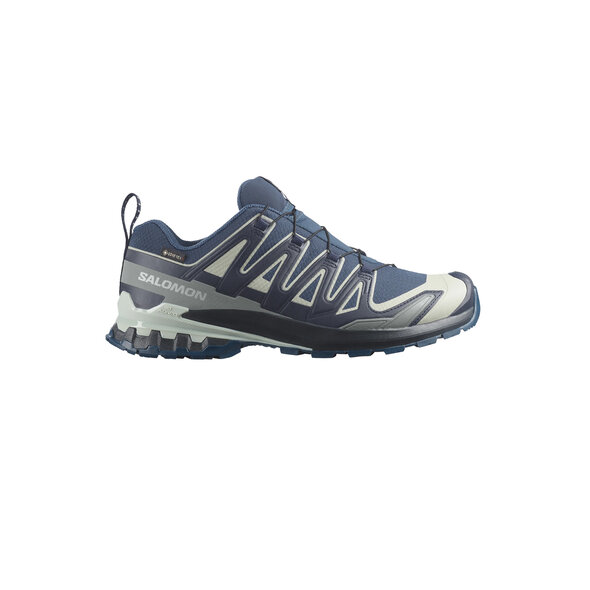 SALOMON 'XA PRO 3D V9 GTX' TRAIL RUNNING ΠΑΠΟΥΤΣΙ ΑΝΔΡΙΚΑ L49199200-SPELLBOUND