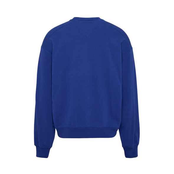 TOMMY HILFIGER BOXY COLLEGE ΦΟΥΤΕΡ ΑΝΔΡIKO DM0DM16804-C9B