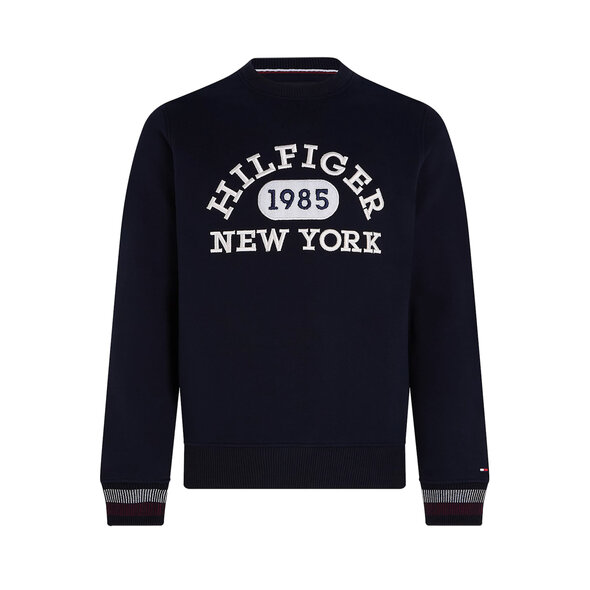 TOMMY HILFIGER COLLEGIATE ΦΟΥΤΕΡ ΑΝΔΡIKO MW0MW32670-DW5