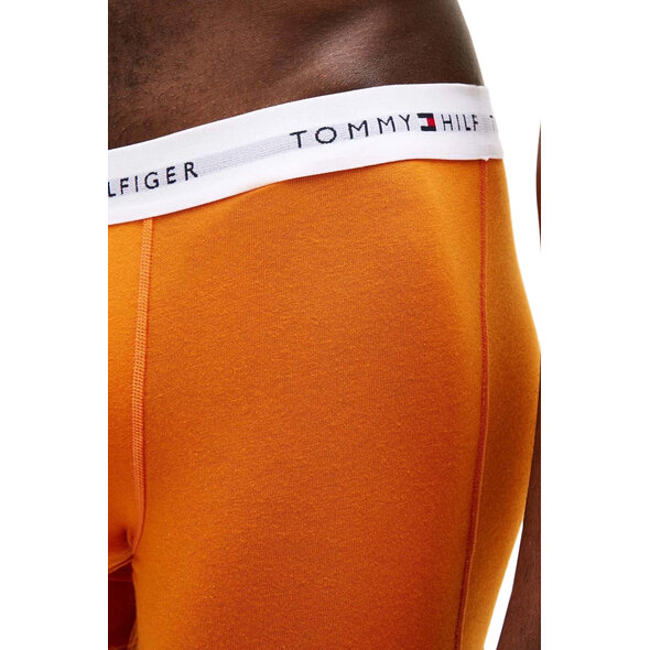 TOMMY HILFIGER 3-PACK TRUNK ΕΣΩΡΟΥΧΑ ΑΝΔΡΙΚΑ UM0UM03889-0YZ