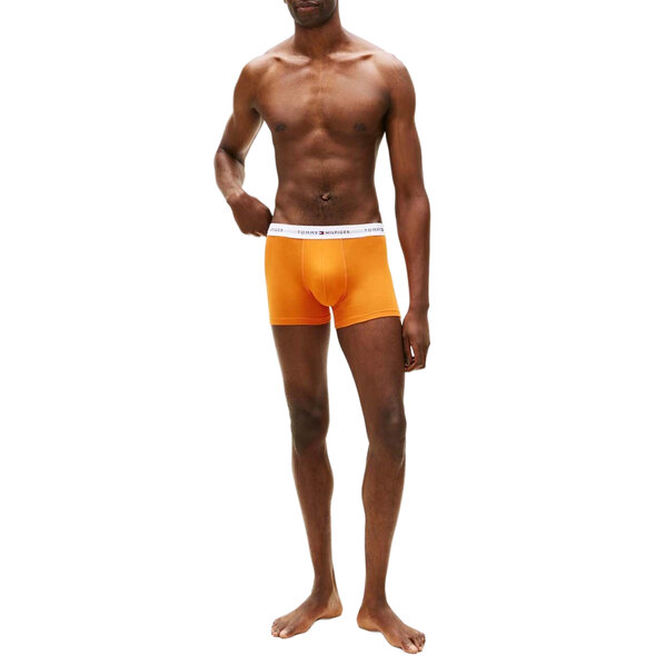 TOMMY HILFIGER 3-PACK TRUNK ΕΣΩΡΟΥΧΑ ΑΝΔΡΙΚΑ UM0UM03889-0YZ